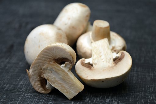 best lion's mane mushroom supplements